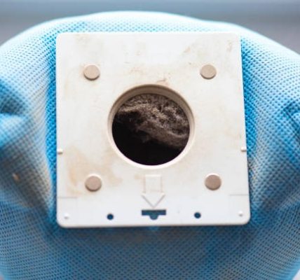 How to Get Rid of Computer Mites A Comprehensive Guide