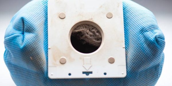 How to Get Rid of Computer Mites A Comprehensive Guide