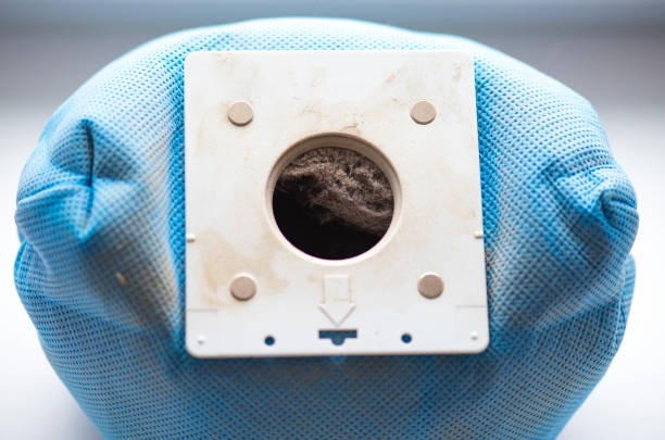 How to Get Rid of Computer Mites A Comprehensive Guide