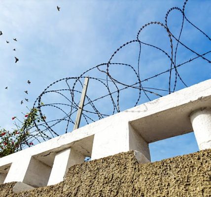 Zaeune im direkten Vergleich Vorteile verschiedener Systeme