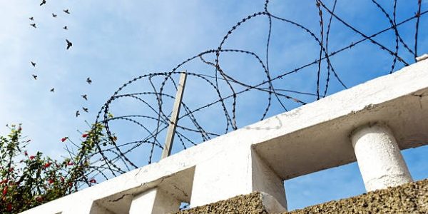 Zaeune im direkten Vergleich Vorteile verschiedener Systeme