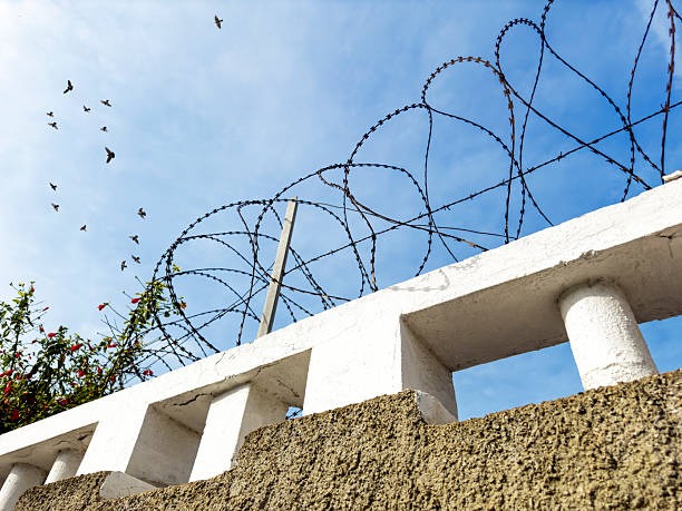 Zaeune im direkten Vergleich Vorteile verschiedener Systeme