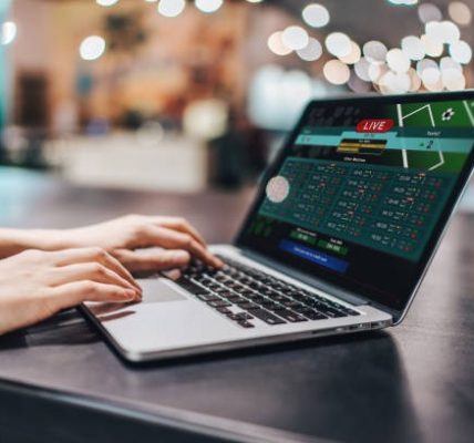 Discover Key Facts About Online Casinos in This Informative Overview